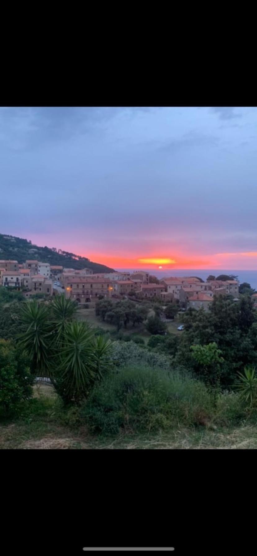Hotel Les Calanques Piana  Ngoại thất bức ảnh