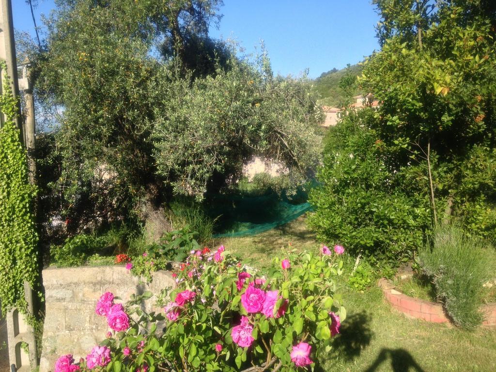 Hotel Les Calanques Piana  Phòng bức ảnh